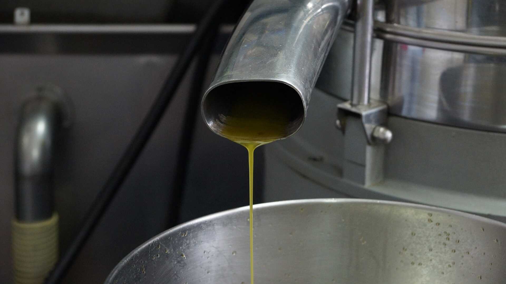 Olivoljepressning