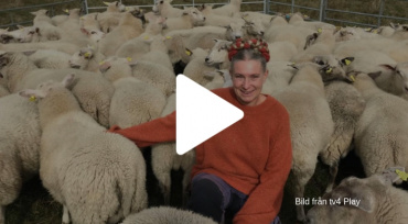 Mandelmanns på FreakyKitchen?