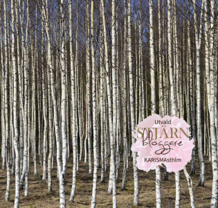 Xylitol - helt naturlig björksocker