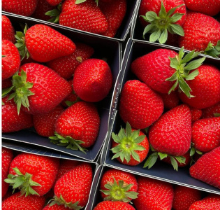 Jordgubbssäsongen är här!