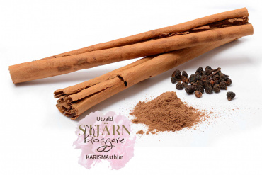 Kanel från Ceylon