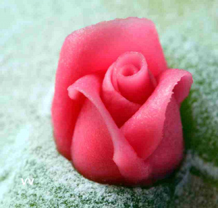 5 hacks för att lyckas med prinsesstårta