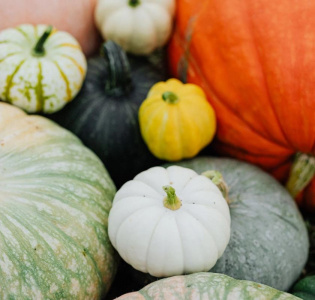 Vad kan man göra, baka eller laga med pumpa?