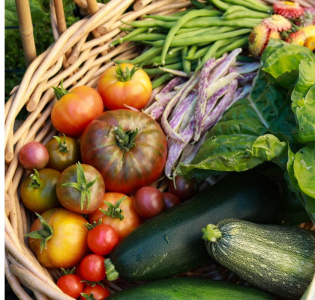 Vad är I säsong i augusti?