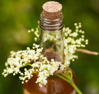 Fläderblomsirap