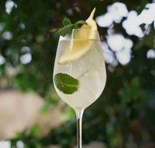 Fläderspritz - Hugo Spritz