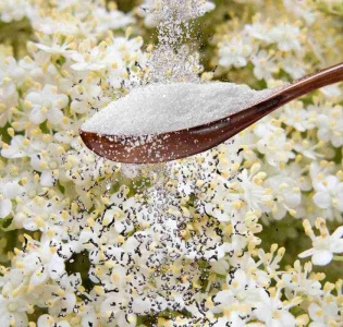 Fläderblomsocker
