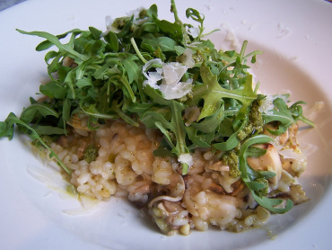 Risotto med ostronskivling