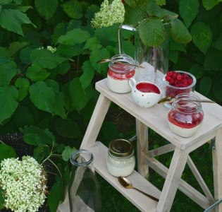 Citron-& fläderblomposset med hallon-coulis