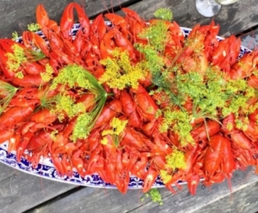 Kräftskiva - den perfekta guiden