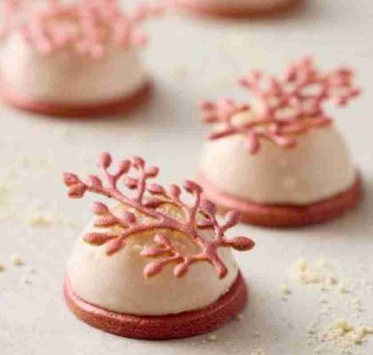 Tuiles - tunna, krispiga och oemotståndliga