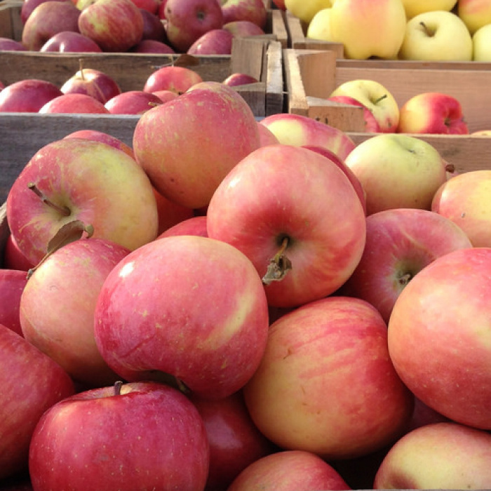 Äpple Päppel...