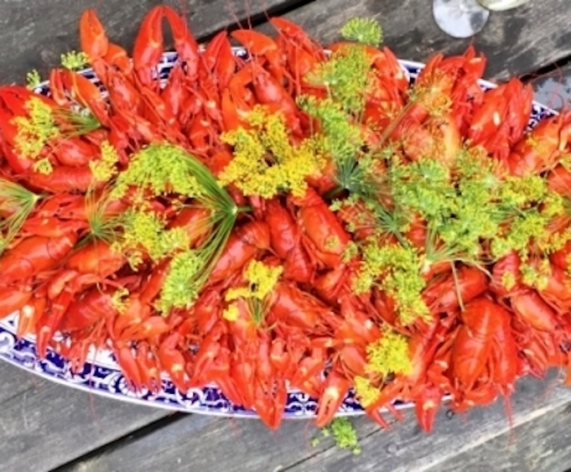 Kräftskiva - den perfekta guiden