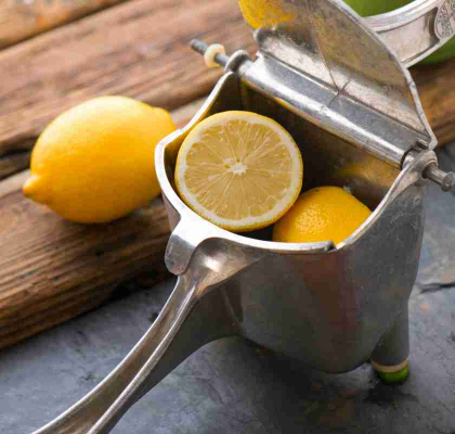 Citrus Juicer juicepress i aluminium med citron