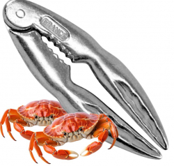 Skaldjursknäckare