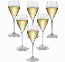 Champagneglas i plast 6-pack