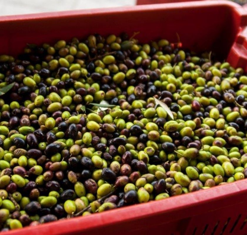 oliver i låda