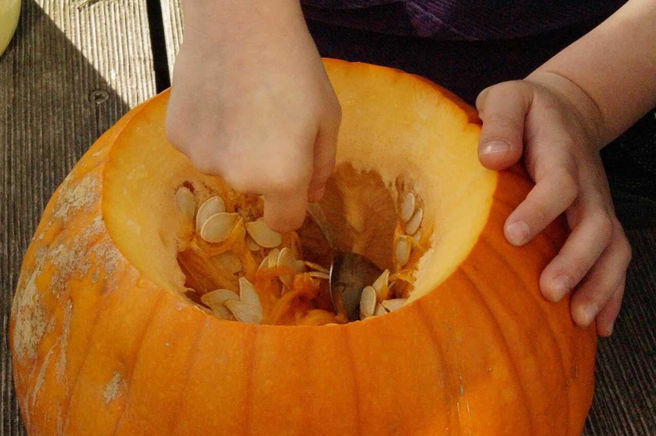 Ta ur pumpan