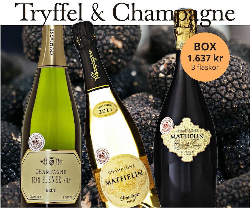 tryffel & champagne