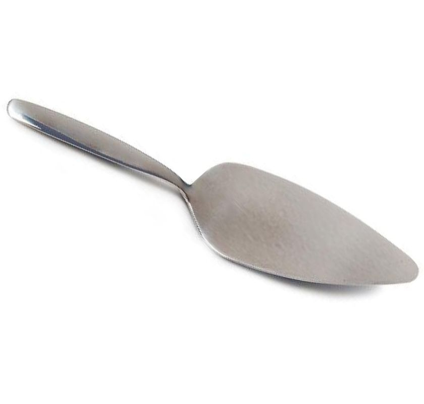 T�rtspade i rostfritt st�l 