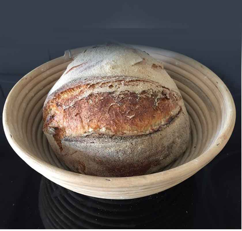 J�skorg i rotting rund 1,7l