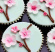 Uttagna blommor på cupcakes Körsbärsblom, sockerbolmmor på cupcakes