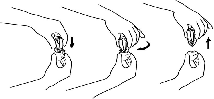 Visar hur ju�rdgubbssnopparen fungerar