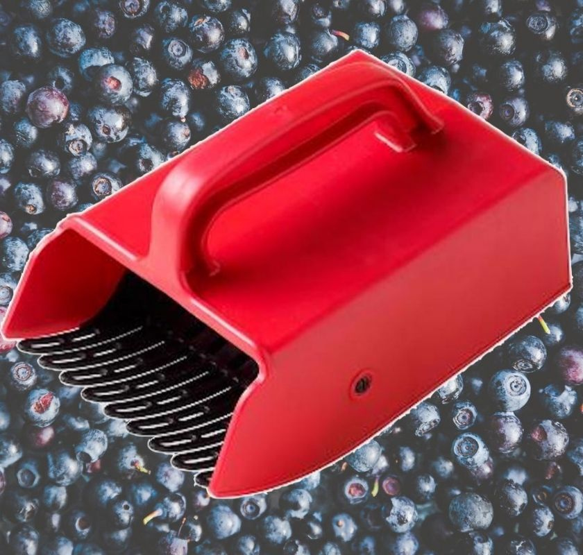 B�rplockare UTG�TT