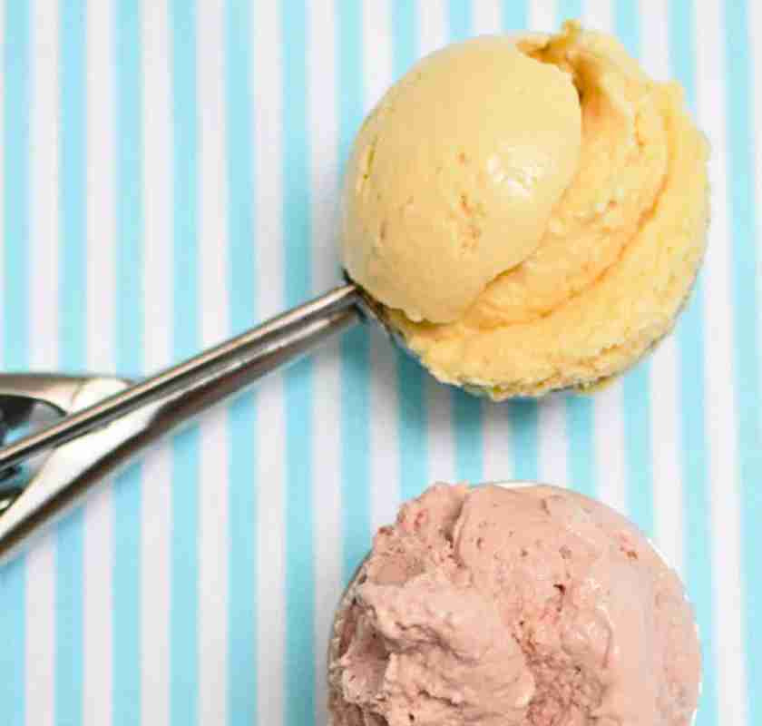 Glasskopa eller mosskopa mekanisk med glass