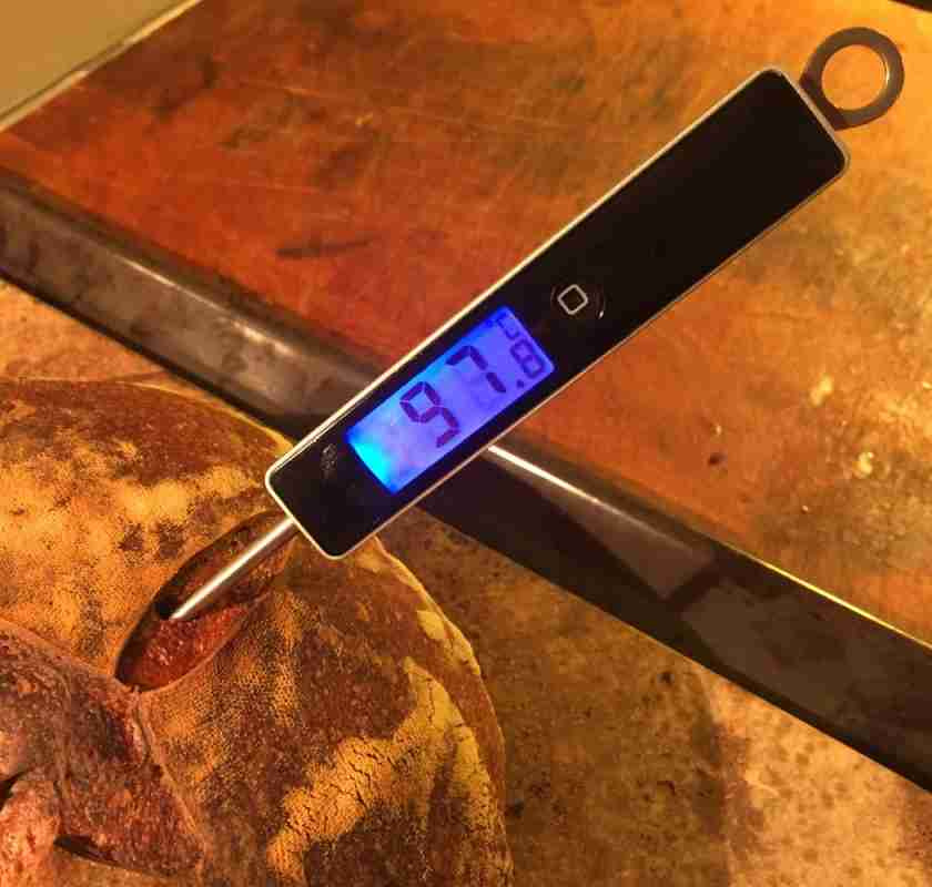 Termometer med spett