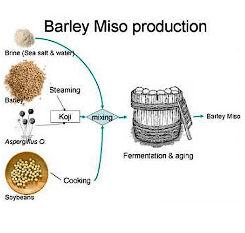 Stegen i misotillverkning