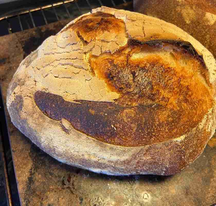 Snittkniv GRIGNETTE� VERTE