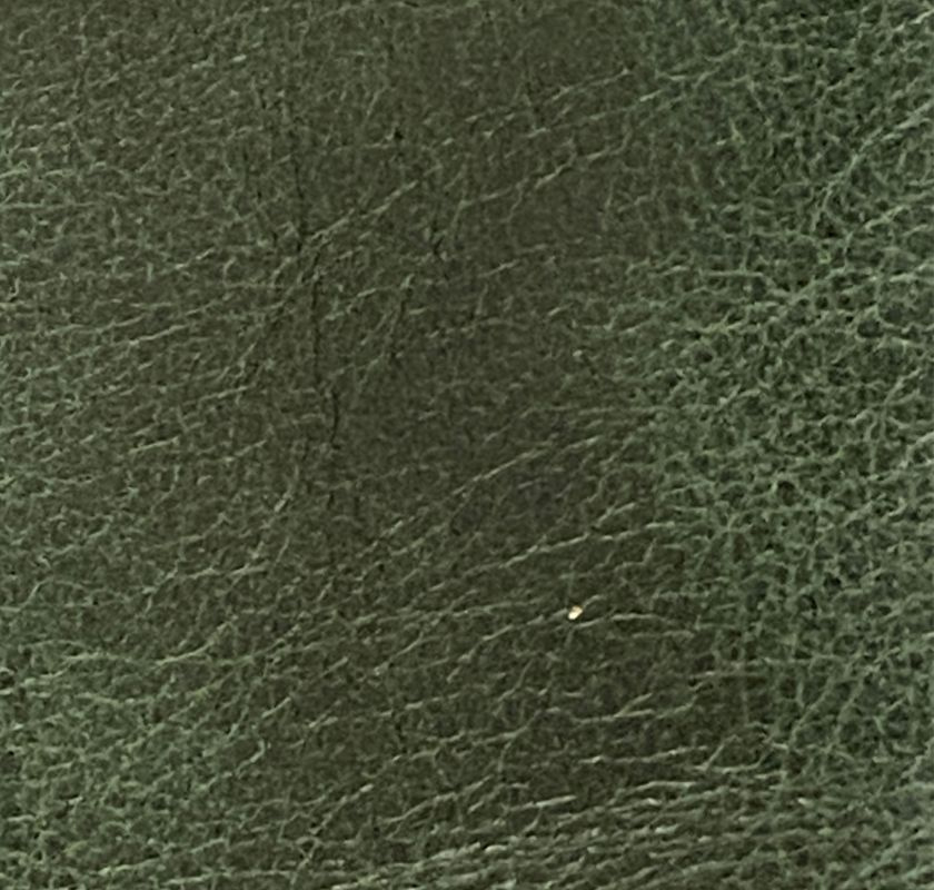 Skinnf�rkl�de gr�nt vaxat skinnet