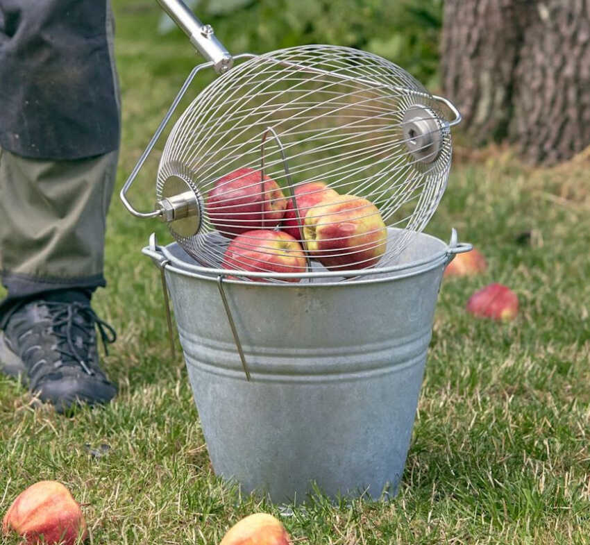 �ppelupplockare Moster Hulda 