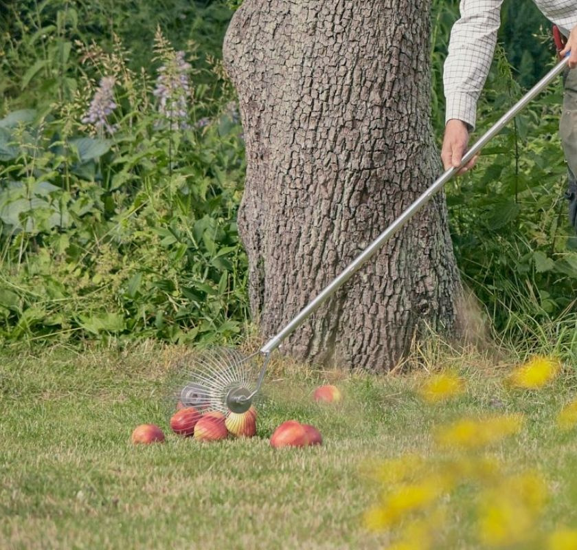 �ppelupplockare Moster Hulda 