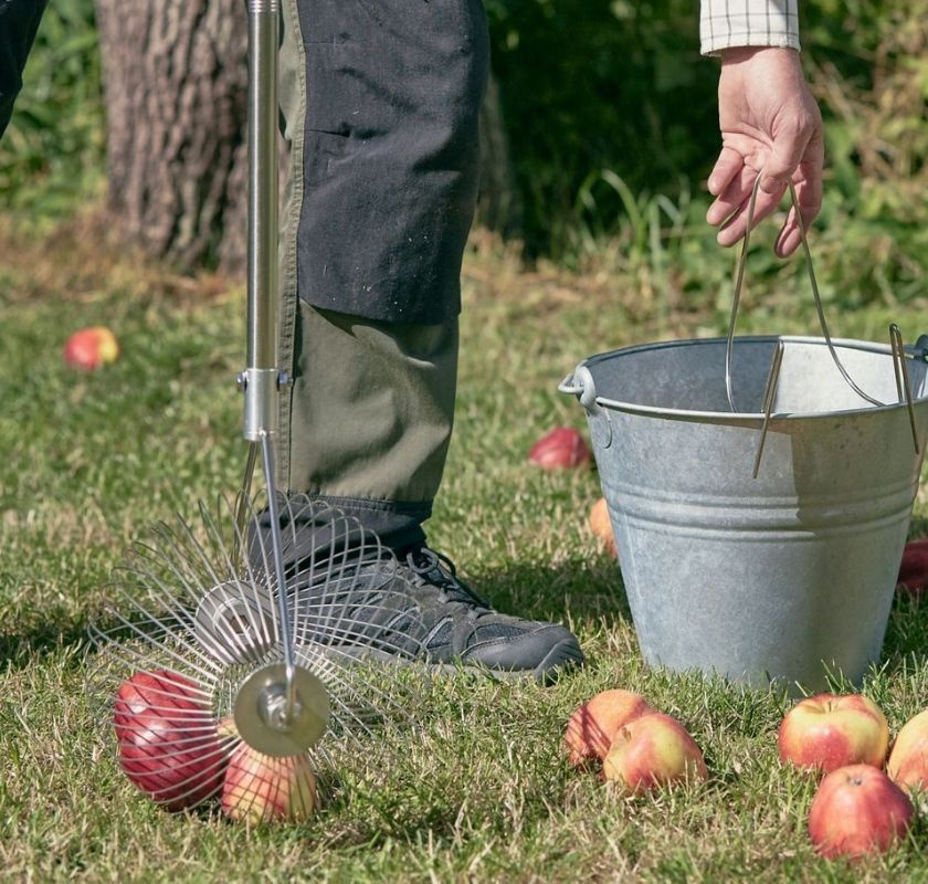 �ppelupplockare Moster Hulda 