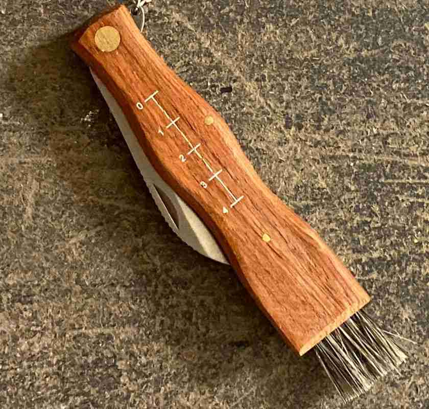 kniv f�r svampplockning