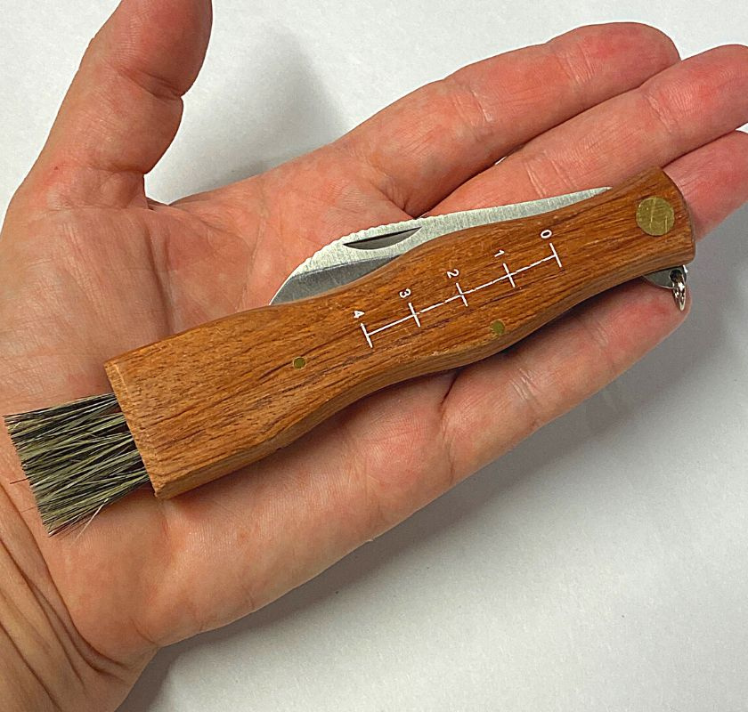 Svampkniv med borste