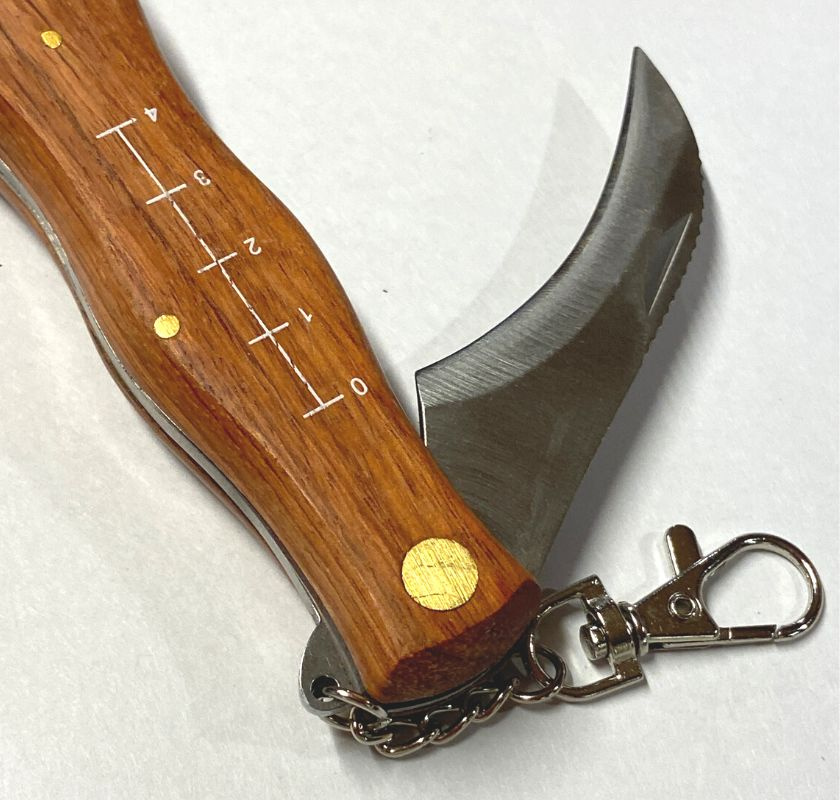 Svampkniv med borste