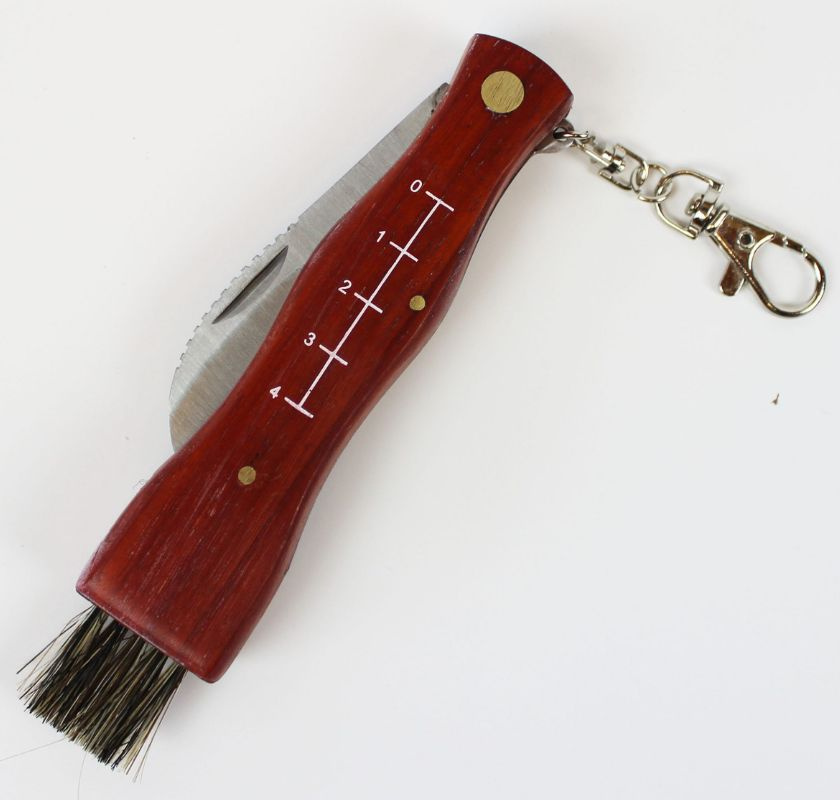 Svampkniv med borste