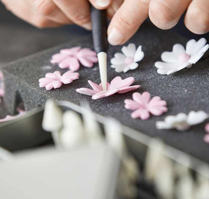 Modellerar sm� rosa blommor