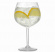 Gin & tonicglas okrossbart i plast med dring och citronskivor
