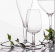 Litet vinglas i plast Degustazione provsmakarglas och champagneglas samt murgröna