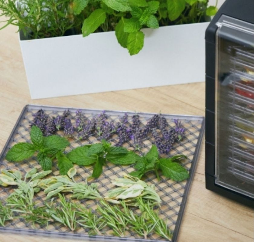 �rter f�r torkning i torkugn