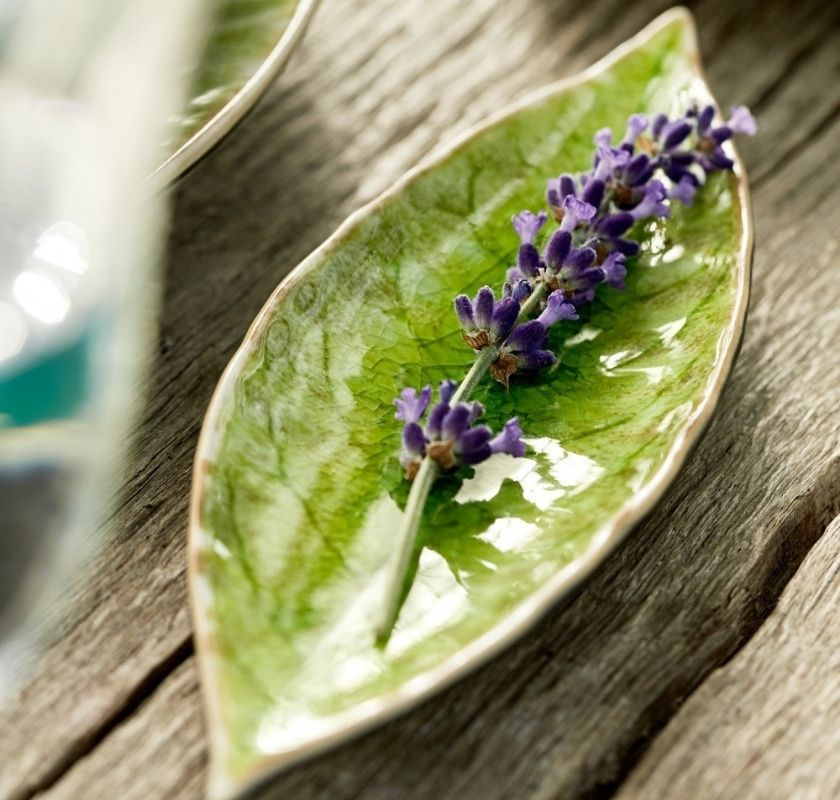 Blad fat costa nova riviera