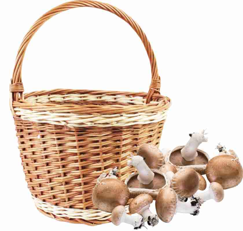 Naturf�rgad korg fl�tad pil med plockad svamp