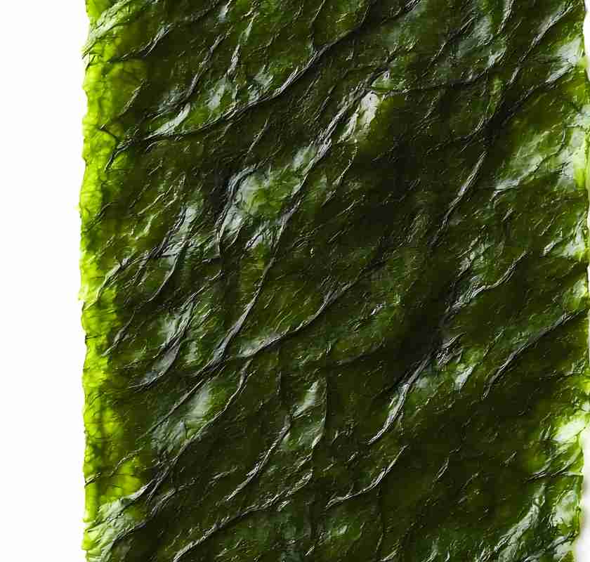 Nori rostade sj�gr�sark