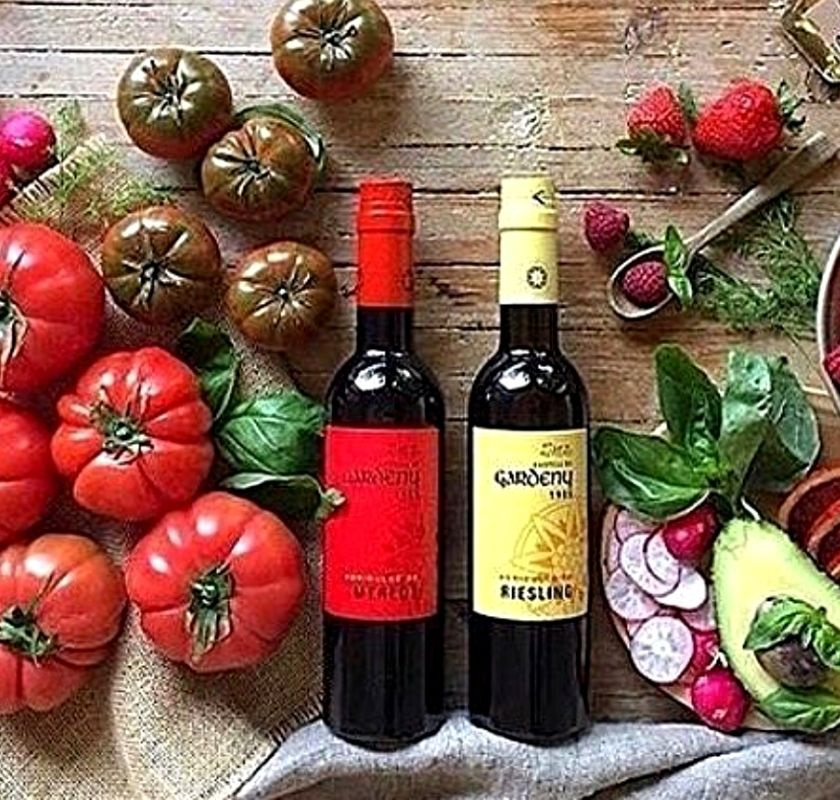 Merlot-vin�ger Castell de Gardeny