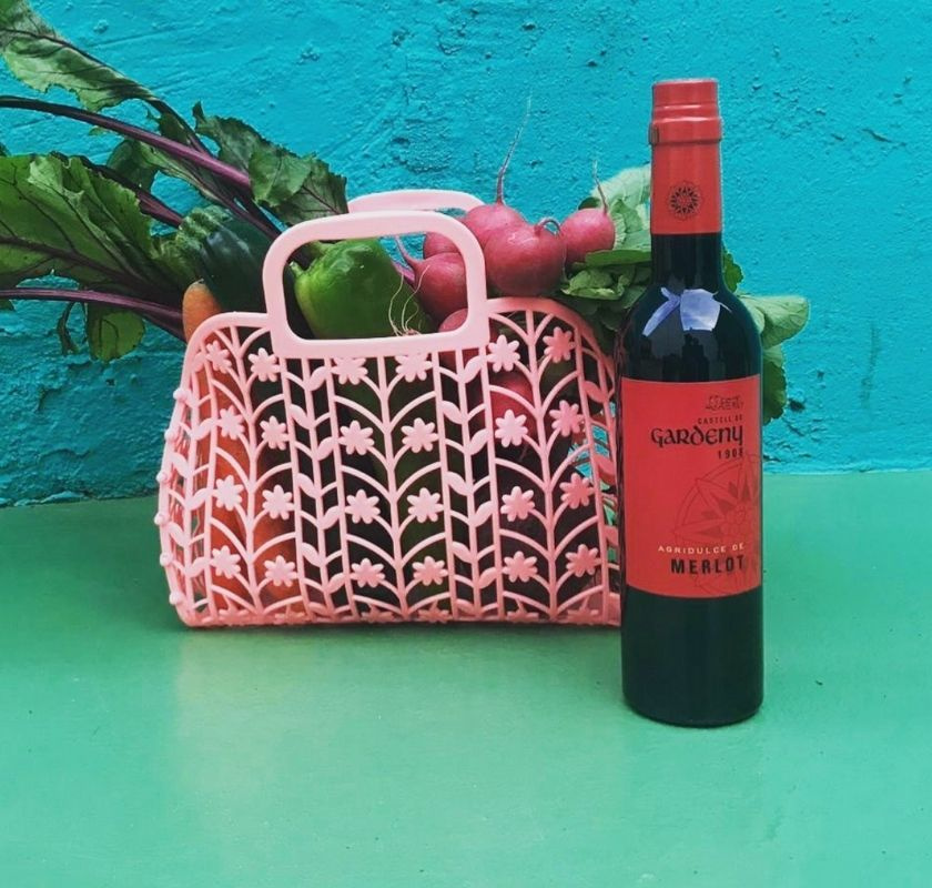 Merlot-vin�ger Castell de Gardeny