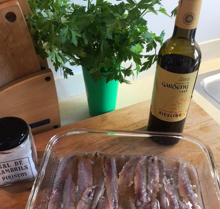 Riesling-vin�ger Castell de Gardeny